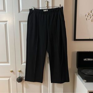 Everlane black wide leg dream pant xl